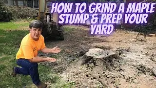 How to Grind a Maple Stump & Prep Your Yard for New Grass