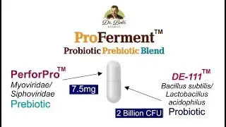 ProFerment: Probiotic with Prebiotic For Great Digestion
