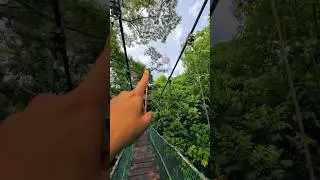 Exploring KL Forest Eco Park 2023 #kl #kualalumpur #malaysia #dayvlog  #dailyvlog