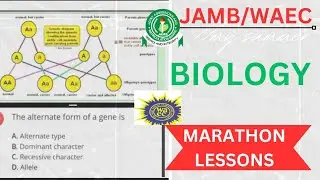 Biology Online Tutorials. JAMB Biology Past Questions and Answers. WAEC Biology Past Questions.
