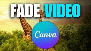 How To Fade Out Video in Canva (Step By Step)