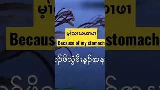 Stomach problems