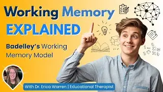 Working Memory Explained