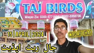 Rahim Yar Khan Birds Market Jaal Rate|Hospital Road|Latest Updates