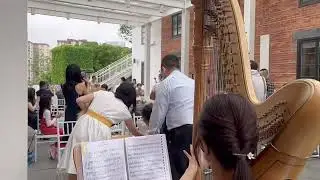 Beautiful in White + Wedding March for March-in - Harp Solo