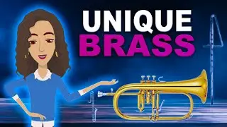 Discover 7 Rare Brass And Woodwind Instruments You Need To Hear!