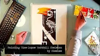 Speed Drawing: Hornbill skeleton.