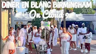 What is Diner En Blanc | Diner En Blanc Birmingham Alabama