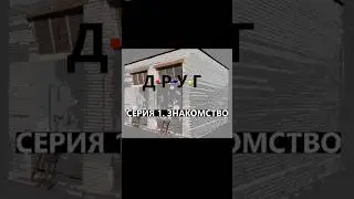 ДРУГ. СЕРИЯ 1. ЗНАКОМСТВО                             #friend #cartoons #dudediyer