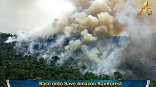 Race onto Save Amazon Rainforest