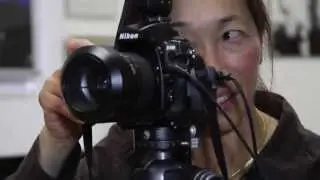 Positive Vista Photography & Art by Portia Shao in Santa Cruz - your portrait experience