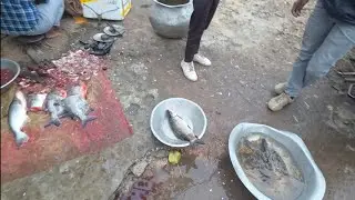 देशी मछली का का इंतजाम किया गया 