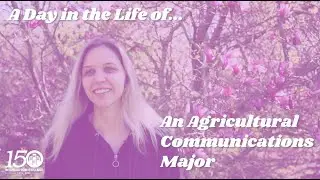 A Day in the Life of an Agricultural Communications Major