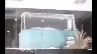 Ayatullah Khomeini Funeral - FULL VIDEO - تدفین امام روح اللہ الخمینی