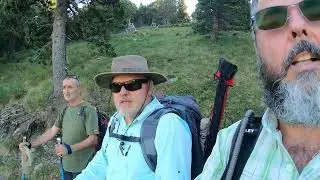 Camporells 06 2025