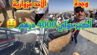 لي قال أسعار الحولي الحولية رخيصة يمشي السوق يتأكد من سوق الأحد مزوارية وجدة تحياتي لكم