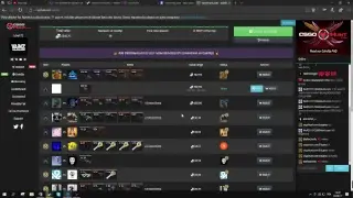 On fais du gambling avec vainz csgofrog et cie