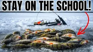 This Tag-Team Ice Fishing Trick Keeps Roaming Perch Fired Up!