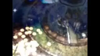 Mu Lorencia