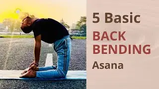 5 BASIC BACK BENDS | Beginner Friendly Back Bending Yoga Practice! @SocialNutriYogi 