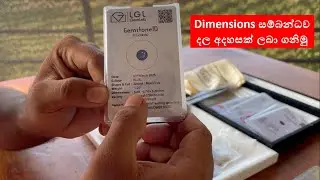 Dimensions සම්බන්ධව දල අදහසක් ලබා ගනිමු.