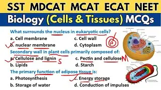 Biology Cell & Tissues MCQs | Biology Mcqs For Competitive Exams | SPSC SST FPSC #sst #mdcat