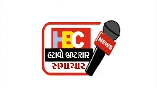 NEWS :- HBC NEWS DATE 12.10.2025