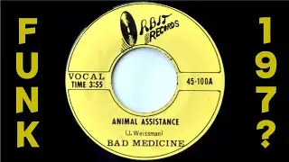 Bad Medicine - Animal Assistance [Orbit Records ] 70s Obscure White Blues Funk Rocker 45