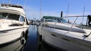 L Dock Odd