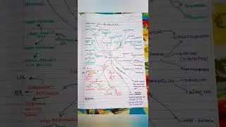 Best Mind Map of Chapter Cell The Unit of Life|| NEET PREPARATION #shorts #neet