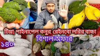 টিয়া, পাইনাপেল কনুর, রেইনবো লরির বা-চ্চা-র বিশাল কালেকশন। মিরপুর পাখির হা''ট। 