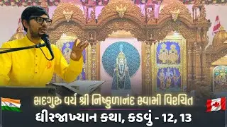 101th Weekly Sabha, Dheerajakhyan Katha, Jan 17 | ૧૦૧મી અઠવાડિક સભા, ઘીરજાખ્યાન કથા