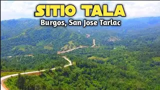 Sitio Tala | Burgos, San Jose, Tarlac