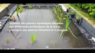 Cr&eacute;ation d'une mare naturelle