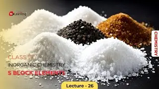 S Block Elements - for 11th Standard. IIT-JEE & NEET : 26/26