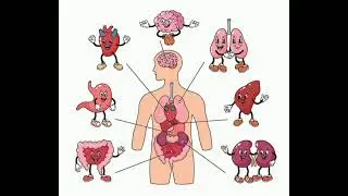 Dear humans, we are the organs and we need to vent NOW! 