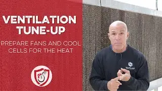 Ventilation in Poultry Farm: Tune-Up Before the Warm Months!