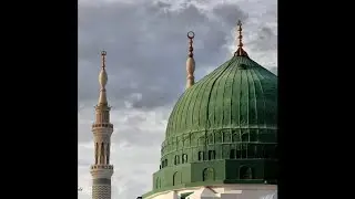 سيدا لم تزل وغيرك زالوا  *  محمود الجاك. طبقة