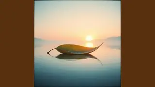 Like a Leaf in the Wind