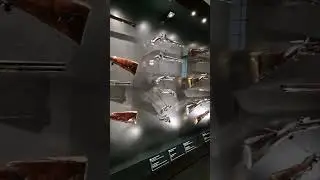 Krak&oacute;w #wawel #museum about  war