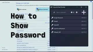 How to View Passwords in Credential Manager on Windows 11 [2025]