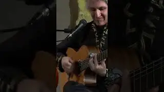 Sedaa - live in Germany #Short #Music #mongolia #iran #live #musica #livemusic #art #singer