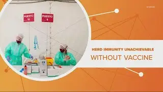 No COVID-19 herd immunity without vaccine, study finds | Connect the Dots