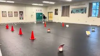 Rizzy AKC Novice rally video 