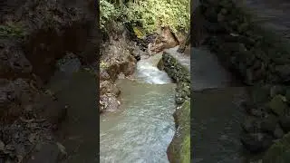 Tranquil Sounds of Water Flowing in Bali&rsquo;s Monkey Forest 🌿💧