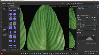 Texturing Leaves In Substance Painter For Ground Cover In Unity
