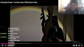 YOUTUBE'S STRANGEST RECORD LABEL: FLEX GANG/ENTERTAINMENT