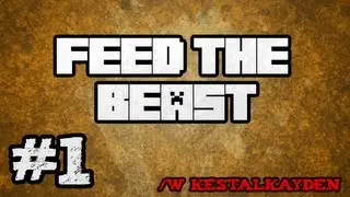 ★ Feed The Beast &mdash; Мы сейчас такие профессионалы &mdash; Часть 1 (#Mindcrack Gameplay)