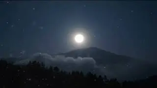 Full Moon Night ASMR 🌕 | Owl Hooting & Crickets in the Silent Forest