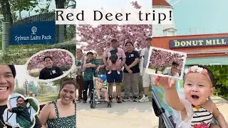 AriVlogs - (4K) Red Deer Trip! To Sylvan Lake, Jake&rsquo;s Restaurant, Tea Talk and The Donut Mill